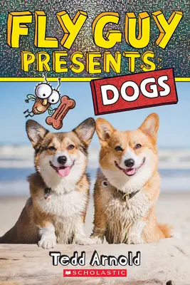 Fly Guy Presents: Câini - Fly Guy Presents: Dogs