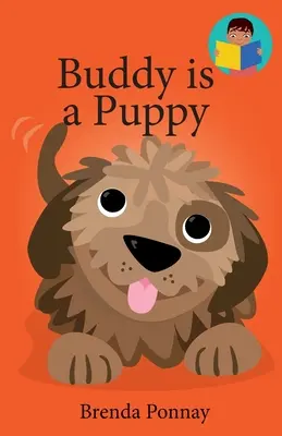 Buddy este un cățeluș - Buddy is a Puppy