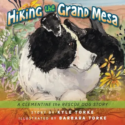 Drumeții pe Grand Mesa: Povestea câinelui de salvare Clementine - Hiking the Grand Mesa: A Clementine the Rescue Dog Story
