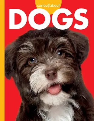 Curiozități despre câini - Curious about Dogs