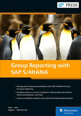 Raportare de grup cu SAP S/4hana - Group Reporting with SAP S/4hana