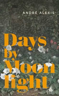 Zile la lumina lunii - Days by Moonlight