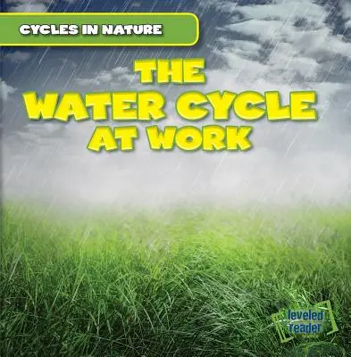 Ciclul apei la locul de muncă - The Water Cycle at Work