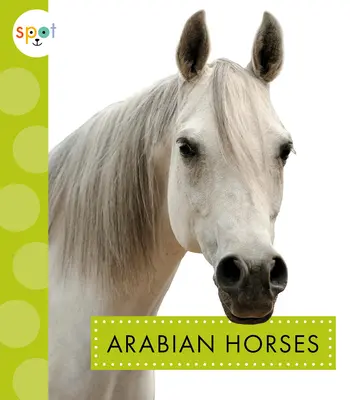 Cai arabi - Arabian Horses
