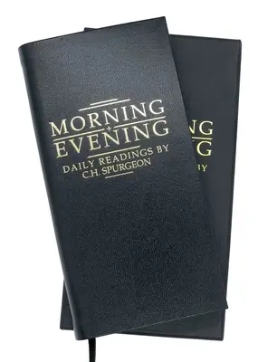 Morning and Evening piele neagră - Morning and Evening Black Leather