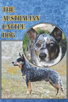Australian Cattle Dog: A Complete and Comprehensive Beginners Guide To: Cumpărarea, Deținerea, Sănătatea, Îngrijirea, Dresajul, Obediența, Înțelegerea - The Australian Cattle Dog: A Complete and Comprehensive Beginners Guide To: Buying, Owning, Health, Grooming, Training, Obedience, Understanding