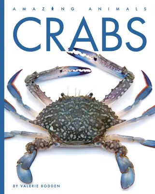 Crabi - Crabs