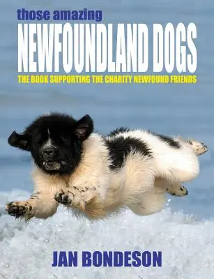 Acești câini Newfoundland uimitori - Those Amazing Newfoundland Dogs