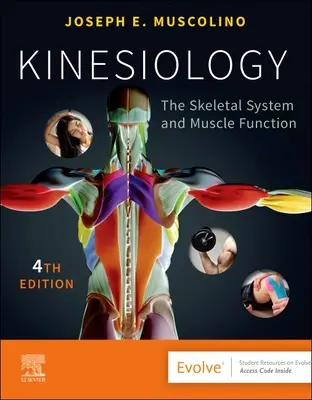 Kinesiology: Sistemul scheletic și funcția musculară - Kinesiology: The Skeletal System and Muscle Function
