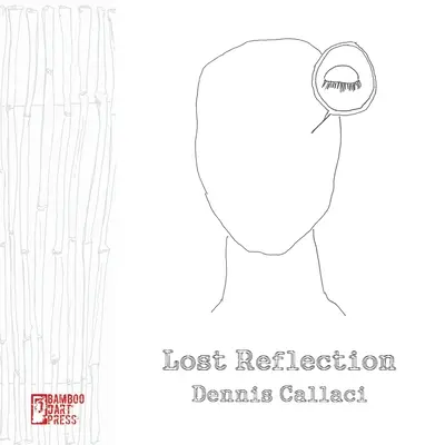 Reflecție pierdută - Lost Reflection