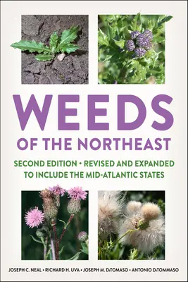 Buruienile din nord-est - Weeds of the Northeast