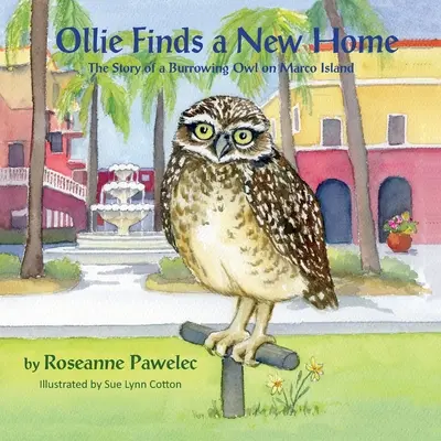 Ollie își găsește o nouă casă: Povestea unei bufnițe de scorbură din Marco Island - Ollie Finds a New Home, The Story of a Burrowing Owl on Marco Island