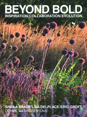 Dincolo de îndrăzneală: Inspirație, colaborare, evoluție - Beyond Bold: Inspiration, Collaboration, Evolution