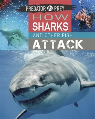 Predator vs Prey: Cum atacă rechinii și alți pești! - Predator Vs Prey: How Sharks and Other Fish Attack!