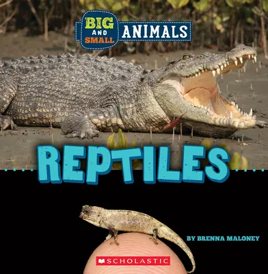 Reptile (Wild World: Big and Small Animals) - Reptiles (Wild World: Big and Small Animals)