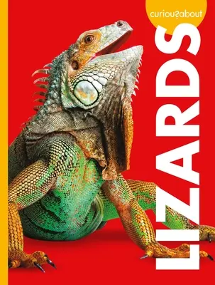 Curioși despre șopârle - Curious about Lizards