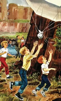 The Happy Hollisters și misterul Castle Rock: Ediție specială HARDCOVER - The Happy Hollisters and the Castle Rock Mystery: HARDCOVER Special Edition