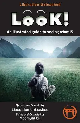 Look!- Un ghid ilustrat pentru a vedea ce este - Look!- An Illustrated Guide to Seeing What Is