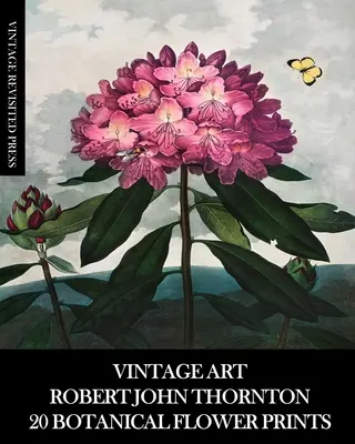 Vintage Art: Robert John Thornton: 20 de imprimeuri botanice cu flori - Vintage Art: Robert John Thornton 20 Botanical Flower Prints