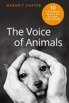 Vocea animalelor: 10 lecții de viață vindecătoare pe care le putem învăța de la animale - The Voice of Animals: 10 Life-Healing Lessons we can Learn from Animals