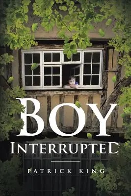 Băiatul întrerupt - Boy Interrupted