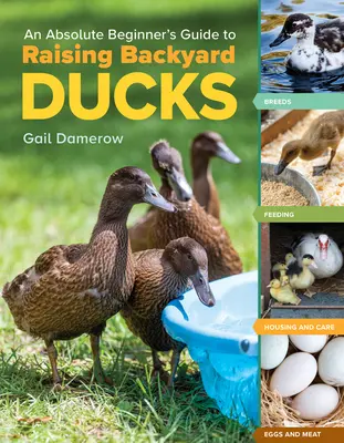 An Absolute Beginner's Guide to Raising Backyard Ducks (Ghidul începătorului absolut pentru creșterea rațelor de curte): Breeds, Feeding, Housing and Care, Eggs and Meat - An Absolute Beginner's Guide to Raising Backyard Ducks: Breeds, Feeding, Housing and Care, Eggs and Meat