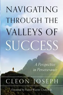 Navigarea prin văile succesului: O perspectivă în perseverență - Navigating Through The Valleys Of Success: A Perspective In Perseverance