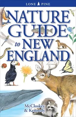 Ghidul naturii în Noua Anglie - Nature Guide to New England