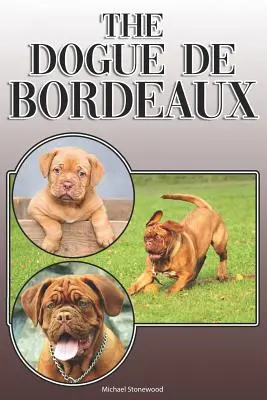 The Dogue de Bordeaux: A Complete and Comprehensive Owners Guide To: Cumpărarea, Deținerea, Sănătatea, Îngrijirea, Dresajul, Obediența, Înțelegerea și - The Dogue de Bordeaux: A Complete and Comprehensive Owners Guide To: Buying, Owning, Health, Grooming, Training, Obedience, Understanding and
