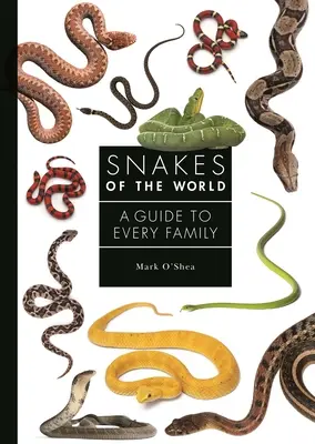 Șerpii din lume: Un ghid pentru fiecare familie - Snakes of the World: A Guide to Every Family