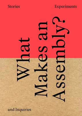What Makes an Assembly?: Povești, experimente și anchete - What Makes an Assembly?: Stories, Experiments, and Inquiries