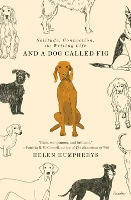 And a Dog Called Fig: Solitude, Connection, the Writing Life