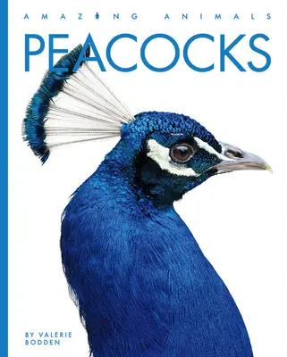Păuni - Peacocks