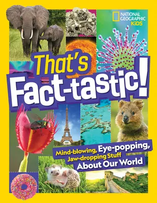That's Fact-Tastic!: Mind-Blowing, Eye-Popping, Jaw-Dropping Stuff about Our World