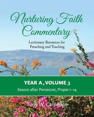 Nurturing Faith Commentary, Year A, Volume 3: Lectionary Resources for Preaching and Teaching-Sezon after Pentecost: Proper 1-14 - Nurturing Faith Commentary, Year A, Volume 3: Lectionary Resources for Preaching and Teaching-Season after Pentecost: Proper 1-14