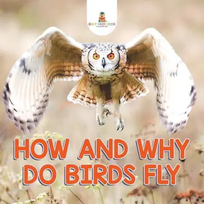 Cum și de ce zboară păsările - How and Why Do Birds Fly