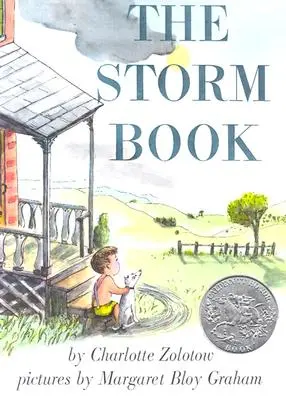 Cartea furtunii - The Storm Book