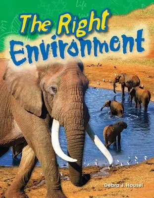 Mediul potrivit - The Right Environment