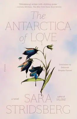Antarctica iubirii - The Antarctica of Love