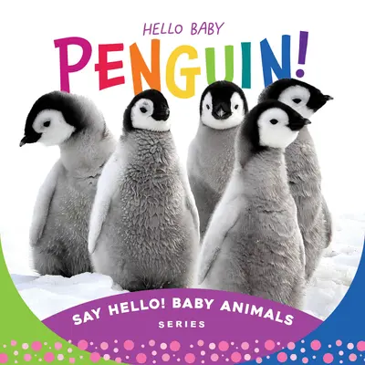 Bună, pui de pinguin! - Hello Baby Penguin!