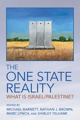 Realitatea statului unic: Ce este Israel/Palestina? - The One State Reality: What Is Israel/Palestine?