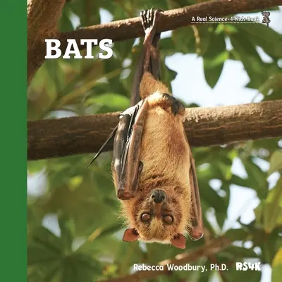 Liliecii - Bats