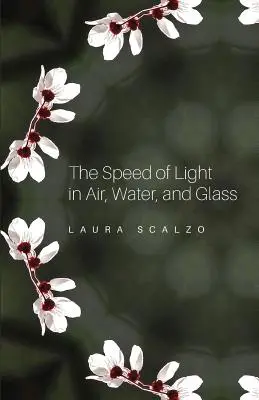 Viteza luminii în aer, apă și sticlă - The Speed of Light in Air, Water, and Glass