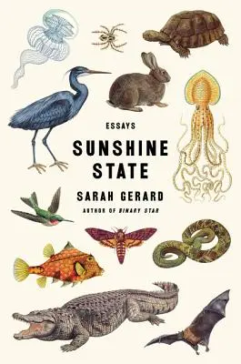 Sunshine State: Eseuri - Sunshine State: Essays