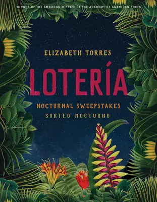 Lotera: Sweepstakes nocturne - Lotera: Nocturnal Sweepstakes