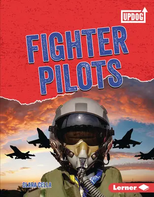 Piloți de vânătoare - Fighter Pilots