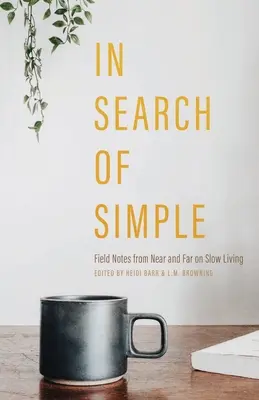În căutarea simplității - In Search of Simple