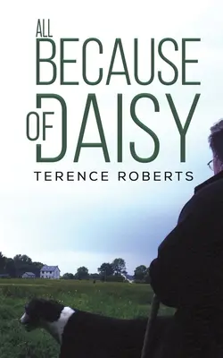 Totul din cauza lui Daisy - All Because of Daisy