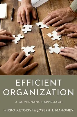 Organizarea eficientă: O abordare a guvernanței - Efficient Organization: A Governance Approach