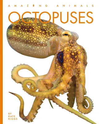 Octopus - Octopuses
